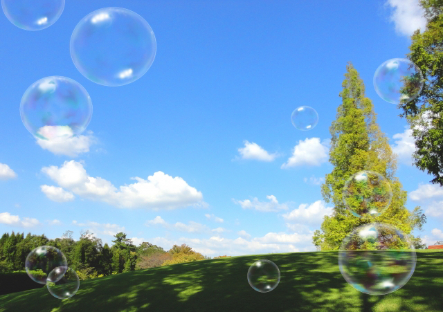  オーガニックヘナ後はすっきり